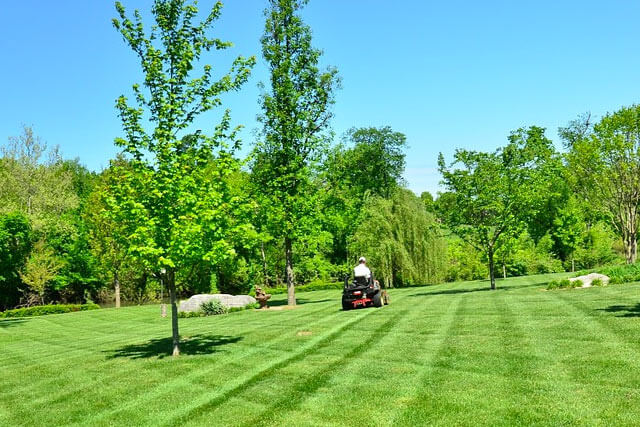 Garden Maintenance